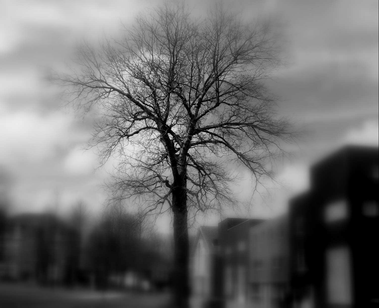 tree